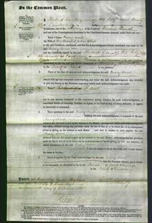 Court of Common Pleas - Mary Ann White