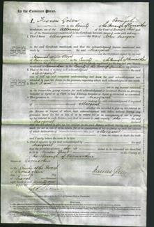 Court of Common Pleas - Margaret Morgan-Original Ancestry