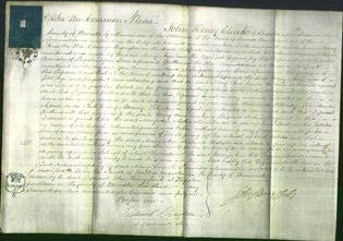 Court of Common Pleas - Mary Ann Wigington