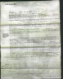 Court of Common Pleas - Fanny Ann Johnson-Original Ancestry