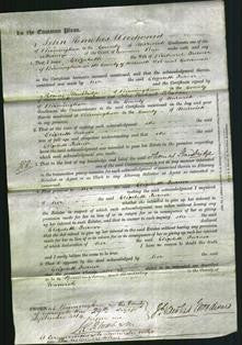 Court of Common Pleas - Elizabeth Turner-Original Ancestry