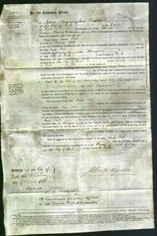 Court of Common Pleas - Jane Fall-Original Ancestry