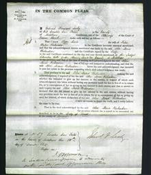 Court of Common Pleas - Alice Maria Richardson-Original Ancestry