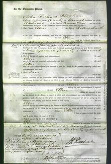 Court of Common Pleas - Ellen Smith-Original Ancestry