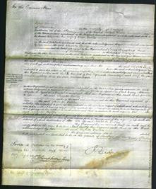 Court of Common Pleas - Elizabeth Foulkes-Original Ancestry