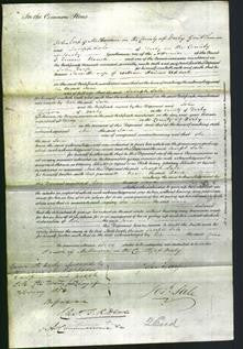 Court of Common Pleas - Jane Adcock-Original Ancestry