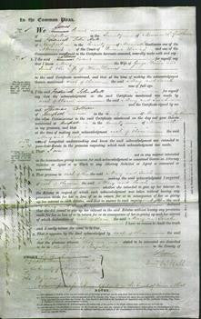 Court of Common Pleas - Mary Harris and Sarah Davies-Original Ancestry