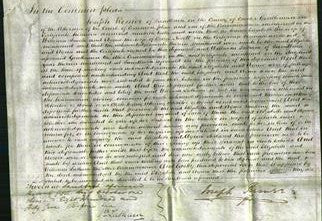 Court of Common Pleas - Elizabeth Smith and Agnes Nevett-Original Ancestry