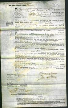 Court of Common Pleas - Esther Parmar-Original Ancestry