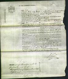 Court of Common Pleas - Maria Knight-Original Ancestry