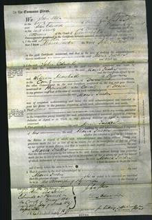 Court of Common Pleas - Maria Tucker-Original Ancestry