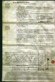 Court of Common Pleas - Maria Tyson-Original Ancestry