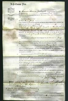 Court of Common Pleas - Marianne Sharp-Original Ancestry