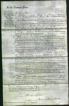 Court of Common Pleas - Hannah Earl and Maria Mulberry-Original Ancestry