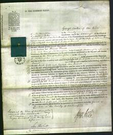 Court of Common Pleas - Sarah Gibbs and Elizabeth Ann Barratt-Original Ancestry