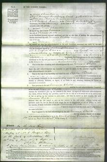 Court of Common Pleas - Emma Childs-Original Ancestry