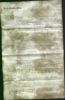 Court of Common Pleas - Catherine Webb Bell-Original Ancestry