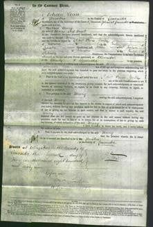 Court of Common Pleas - Mary Hunt-Original Ancestry