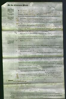 Court of Common Pleas - Mary Ann Baker White-Original Ancestry