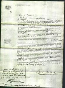 Court of Common Pleas - Hannah Nichols-Original Ancestry