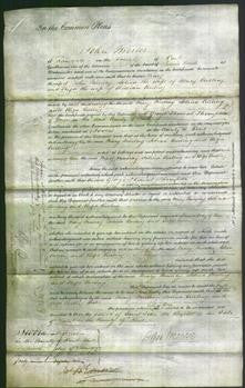 Court of Common Pleas - Mary Murray, Selina Curling and Eliza Curling-Original Ancestry