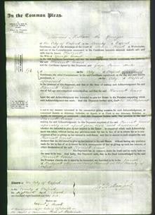 Court of Common Pleas - Harriet Evans-Original Ancestry