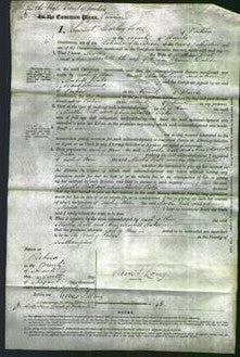 Court of Common Pleas - Martha Ball, Ann Martell Baker-Original Ancestry