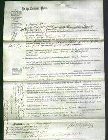 Court of Common Pleas - Sarah Emma Smith-Original Ancestry