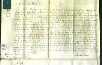 Court of Common Pleas - Mary Amelia Stanbridge-Original Ancestry