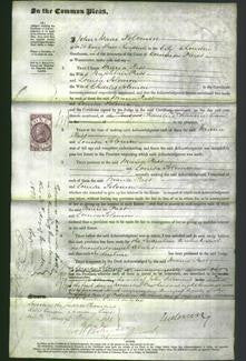 Court of Common Pleas - Maria Pass and Louisa Solomon-Original Ancestry