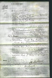 Court of Common Pleas - Elizabeth Mary Henriques-Original Ancestry