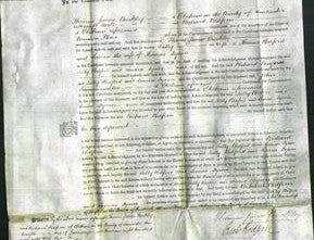 Court of Common Pleas - Sally Redford and Louisa Dyson-Original Ancestry