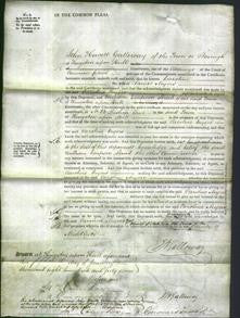 Court of Common Pleas - Caroline Myers-Original Ancestry
