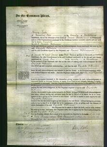 Court of Common Pleas - Elizabeth Wilkinson-Original Ancestry