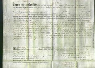 Deed by Married Women - Mary Murray, Selina Curling and Eliza Curling-Original Ancestry