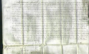 Court of Common Pleas - Henrietta Ann Charlotte Harte-Original Ancestry