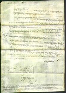 Court of Common Pleas - Mary Rudkin-Original Ancestry