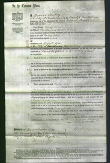 Court of Common Pleas - Mary Ann White