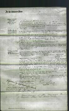 Court of Common Pleas - Sarah Schofield-Original Ancestry