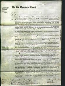 Court of Common Pleas - Elizabeth Skellett Middleton-Original Ancestry