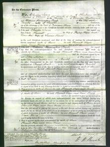 Court of Common Pleas - Harriett Hope and Ann Hines-Original Ancestry