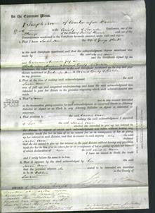 Court of Common Pleas - Sarah Ann Haith-Original Ancestry