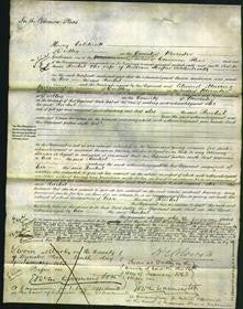 Court of Common Pleas - Rachel Addenbrook-Original Ancestry