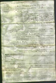 Court of Common Pleas - Maria Church-Original Ancestry