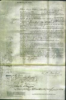 Court of Common Pleas - Ann Goddard