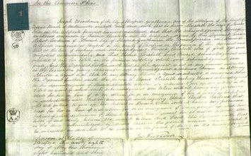 Court of Common Pleas - Elizabeth Jones-Original Ancestry