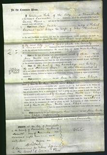 Court of Common Pleas - Anne Mills Dowman and Eliza Harland-Original Ancestry