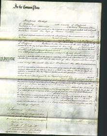 Court of Common Pleas - Sarah Deakin-Original Ancestry