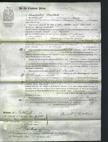 Court of Common Pleas - Sarah Walker and Elizabeth Barlow-Original Ancestry