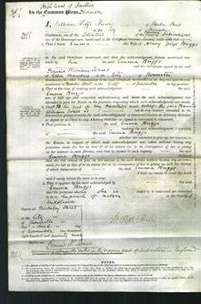 Court of Common Pleas - Emma Briggs-Original Ancestry